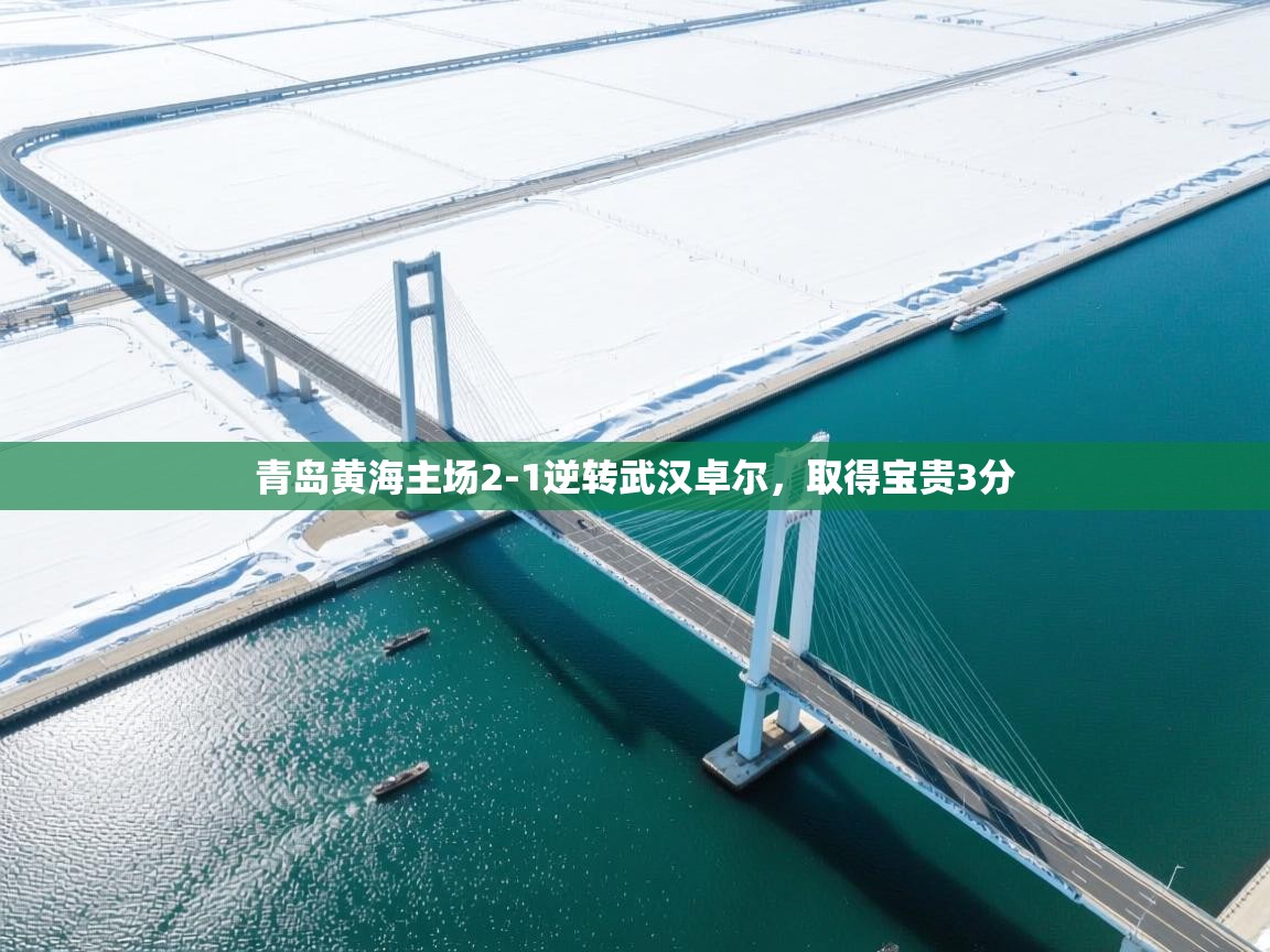 青岛黄海主场2-1逆转武汉卓尔,取得宝贵3分 第2张