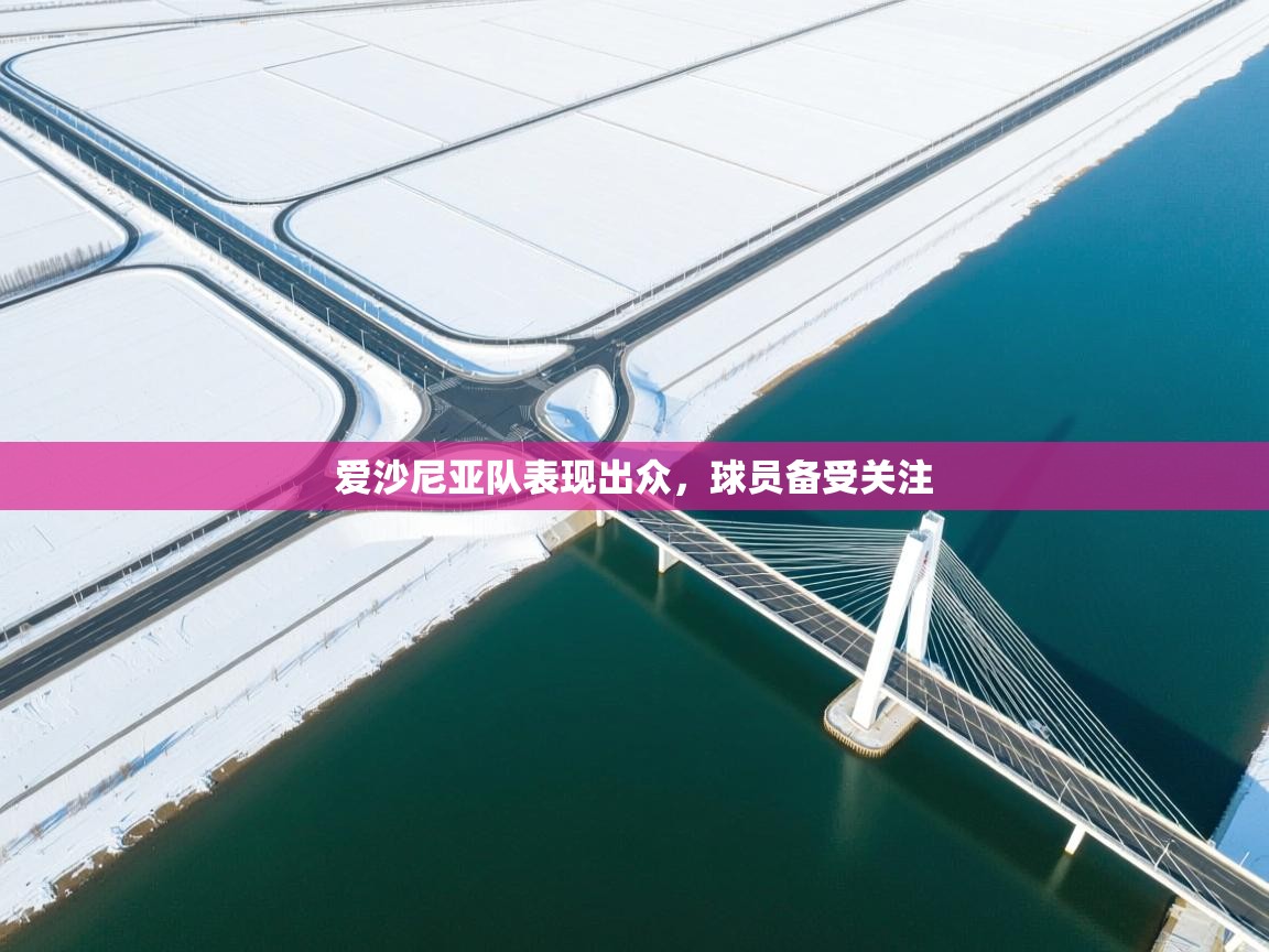 爱沙尼亚队表现出众，球员备受关注  第1张