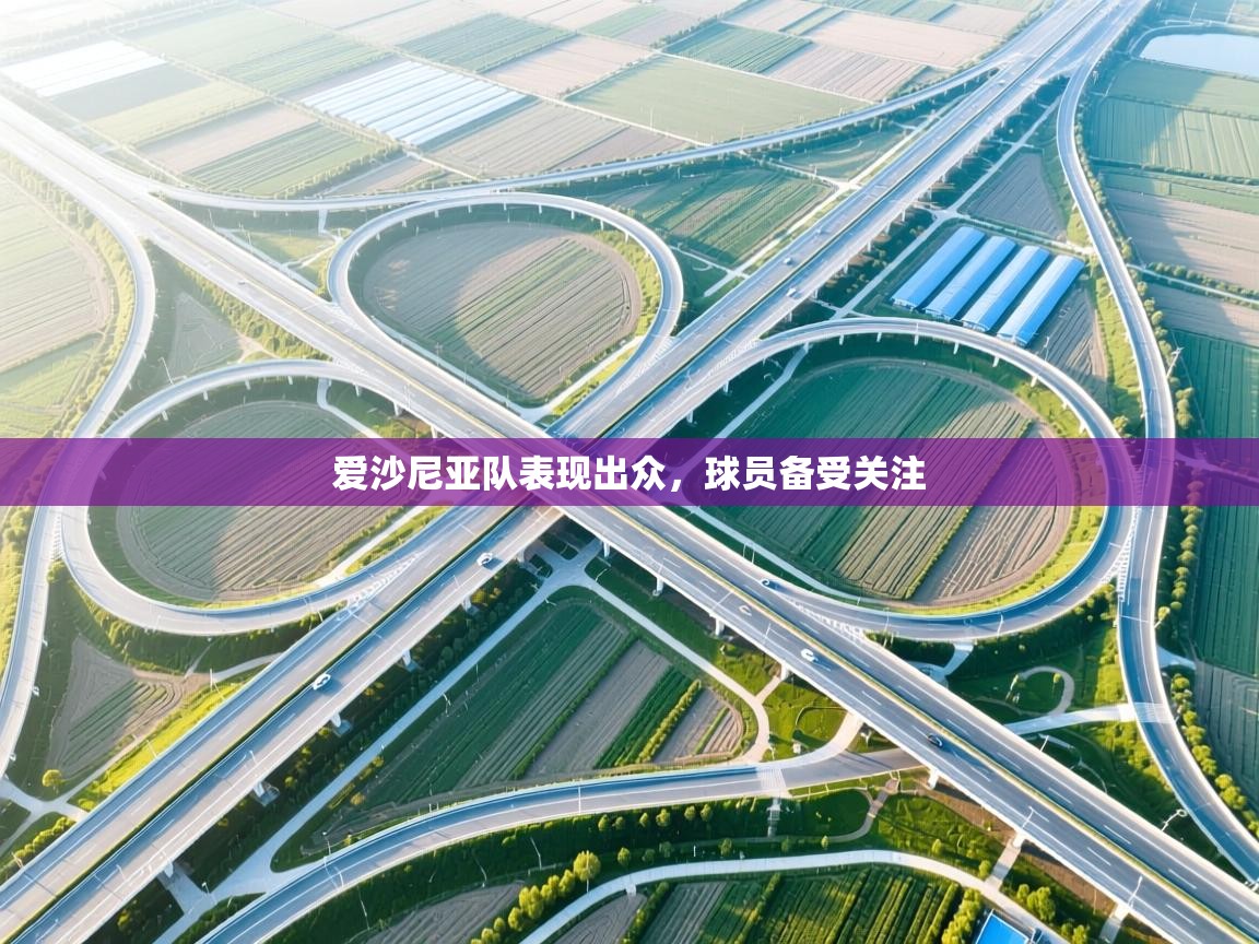 爱沙尼亚队表现出众，球员备受关注  第2张