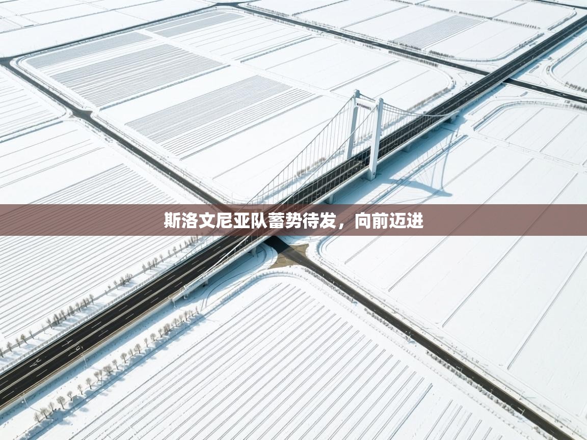 斯洛文尼亚队蓄势待发，向前迈进  第1张