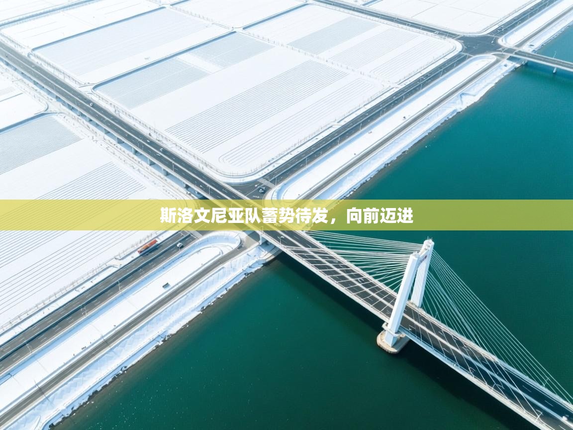 斯洛文尼亚队蓄势待发，向前迈进  第2张