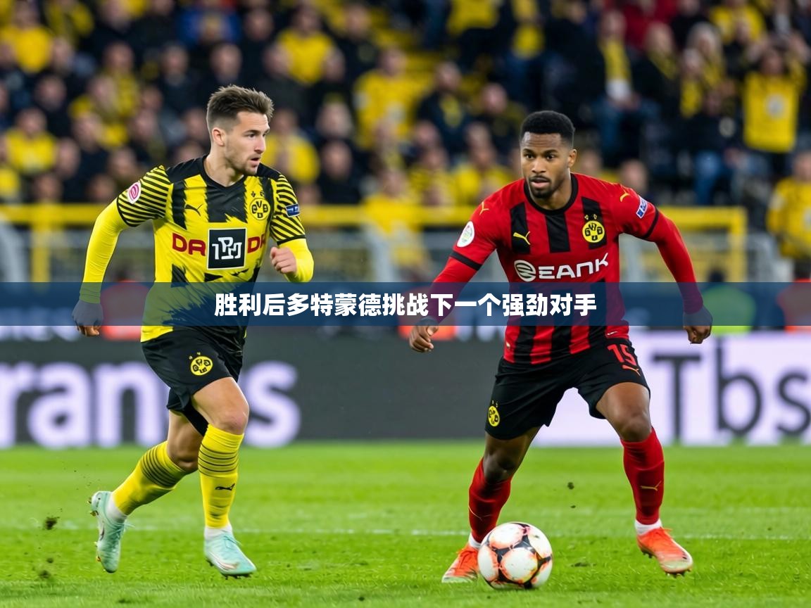 胜利后多特蒙德挑战下一个强劲对手  第1张